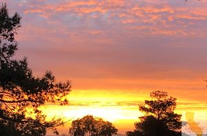 Sunset at sandy beach