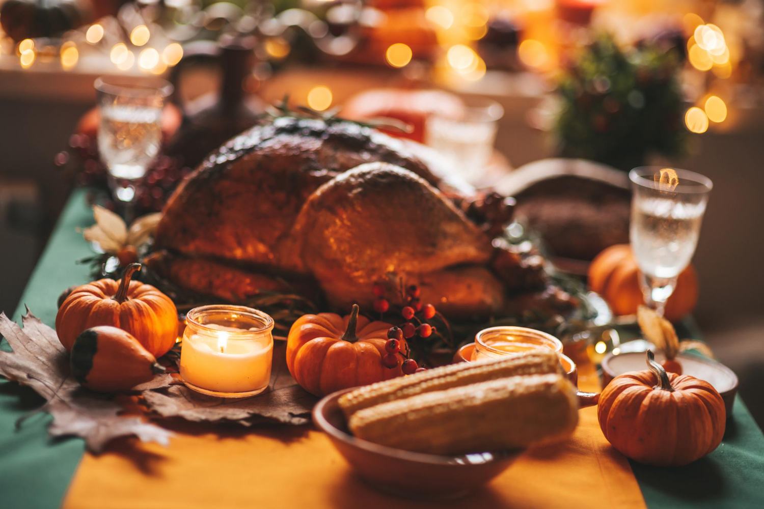 What Is The Best Wine With Turkey? Discover California