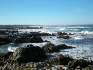 Monterey Coastline
